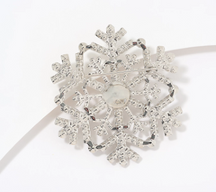 Denim & Co. Choice of Holiday "Snow Lake" Brooch