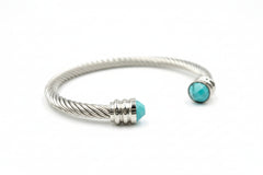 HSN Stainless Steel Faceted Cabochon Turquoise Twisted Cable Bracelet, 7"
