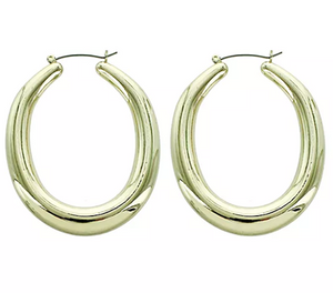 True Lovelies Goldtone Oval Tube Hoop Earrings