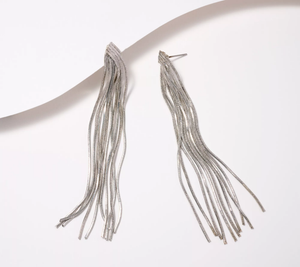 Susan Graver Shining Waterfall Earrings, Silvertone