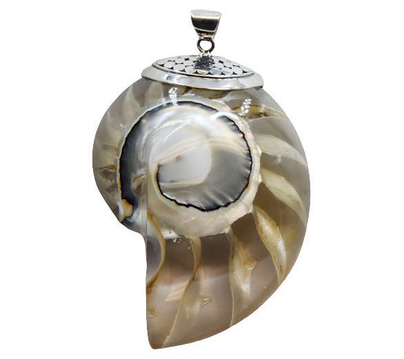 Artisan Crafted Sterling Silver Nautilus Shell Pendant,