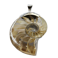 Artisan Crafted Sterling Silver Nautilus Shell Pendant,