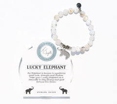 T.Jazelle Luck White Chalcedony Beaded Bracelet & Sterling Silver Elephant Charm, 6-3/4"